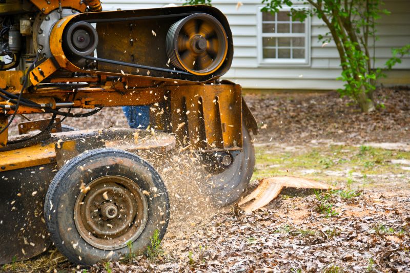 Tree Stump Grinding